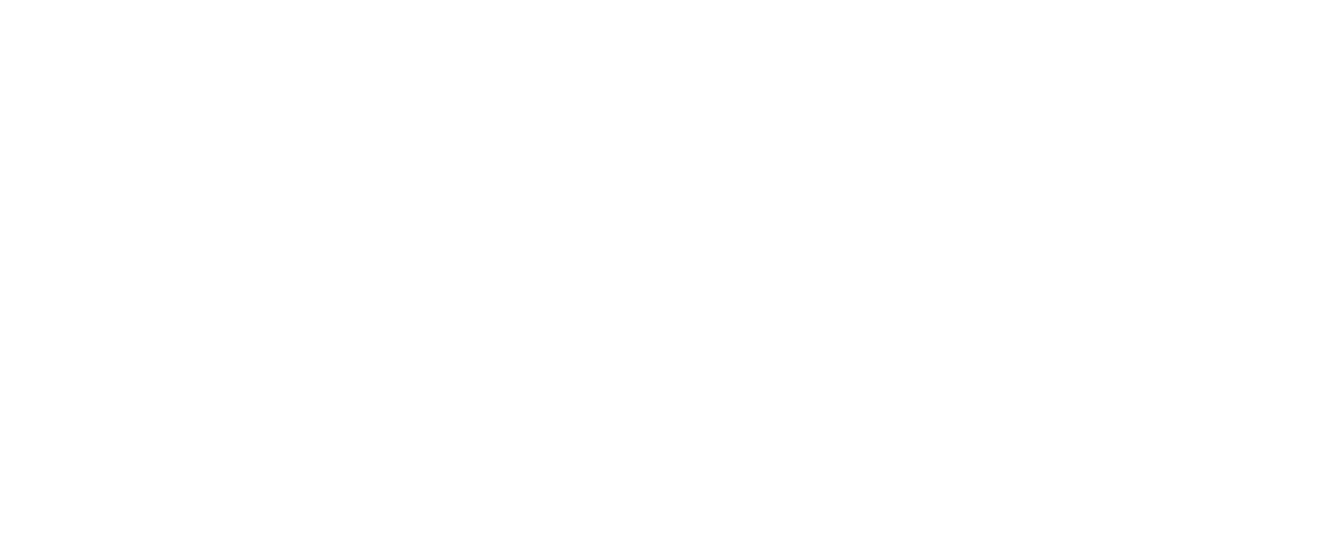 Brave Energy Systems